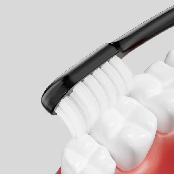 Adult Toothbrush