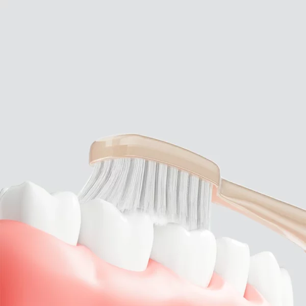 Manual Toothbrush