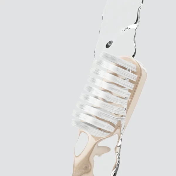 Manual Toothbrush