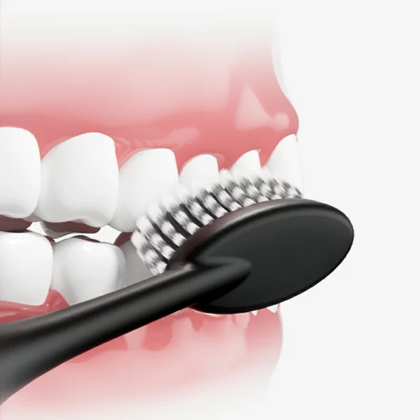 Bacteria Between Teeth